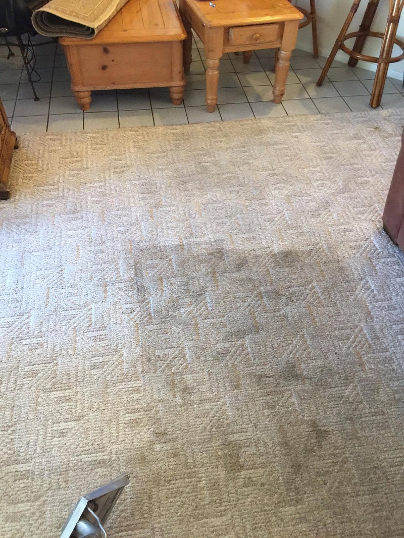 Carpet Cleaning Hazelton Cleaning2