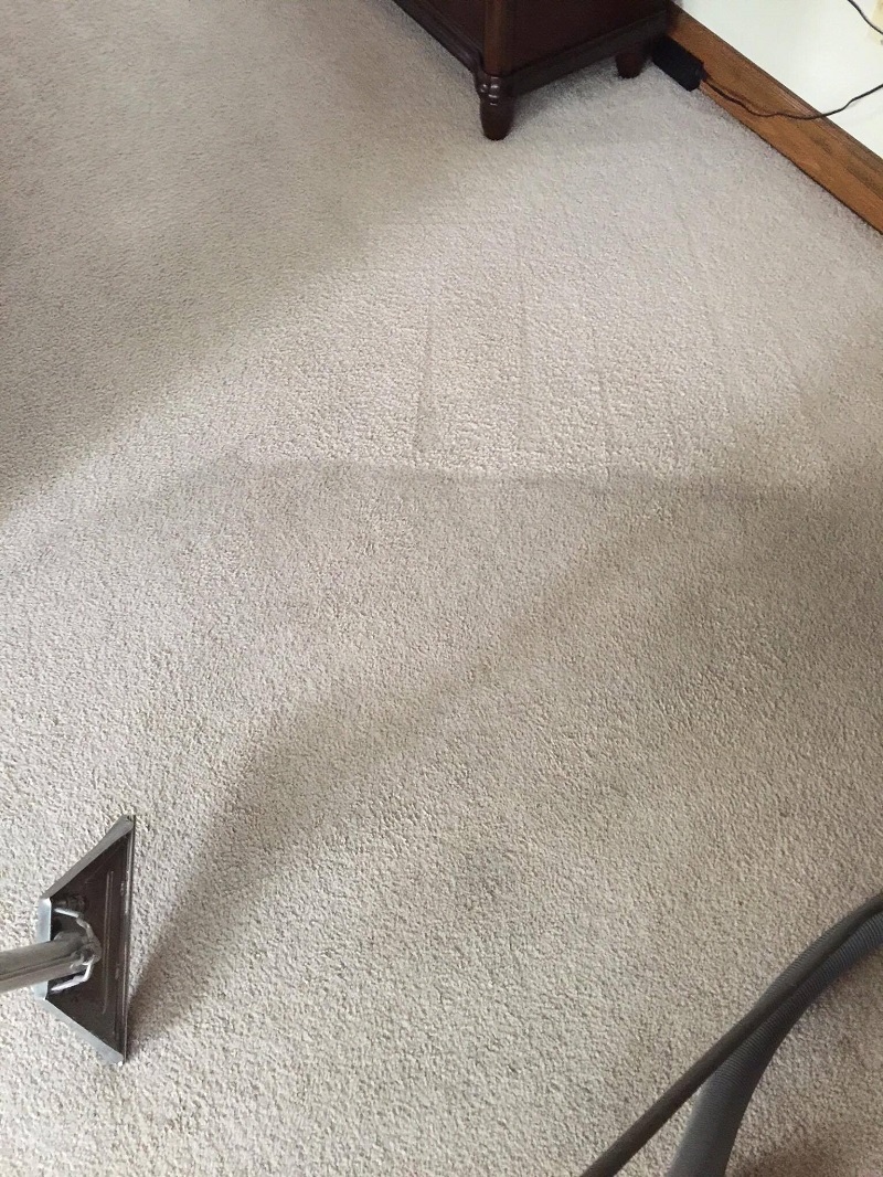 Carpet Cleaning Hazelton Cleaning3