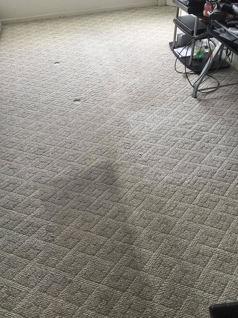Carpet Cleaning Hazelton Cleaning